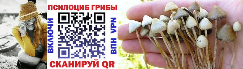 Псилоцибиновые грибы MAGIC MUSHROOMS Киселёвск