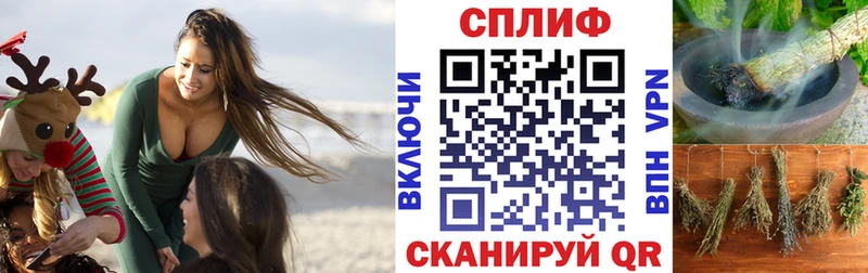 Каннабис SATIVA & INDICA  мега как войти  Киселёвск  как найти  
